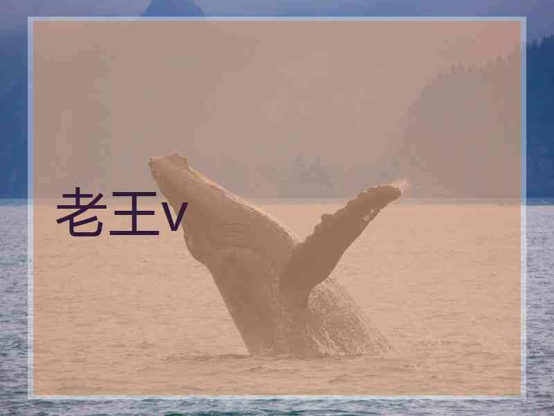 老王v 老王v