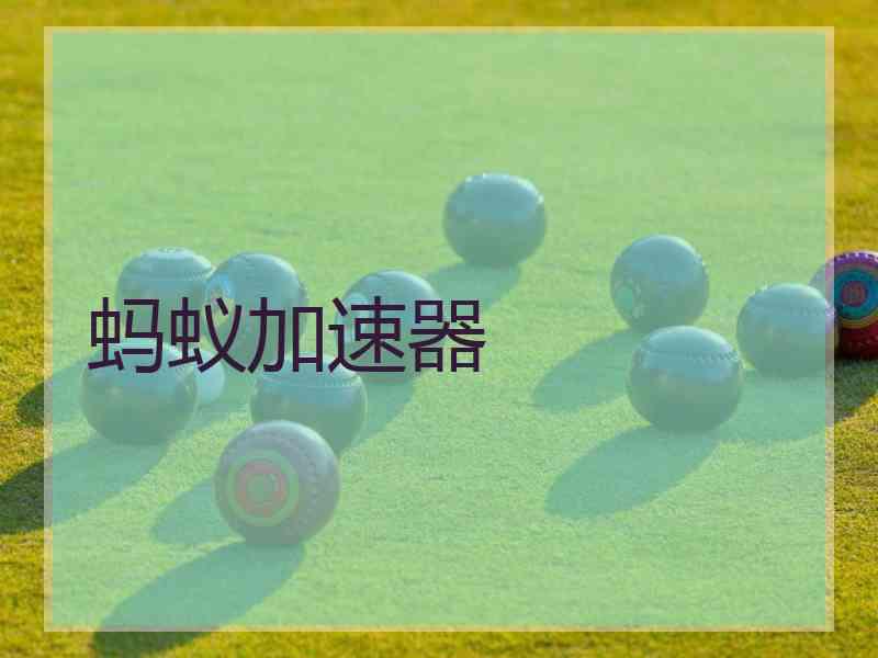 蚂蚁加速器 蚂蚁加速器