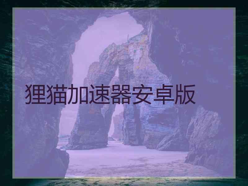 狸猫加速器安卓版 狸猫加速器安卓版